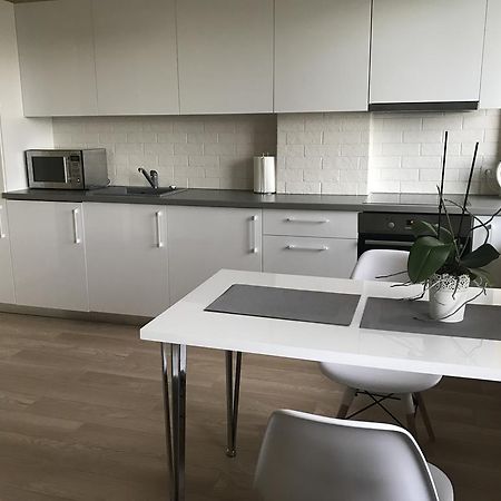 Gina'S Apartment Partizanu G 考纳斯 外观 照片