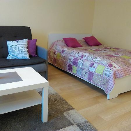 Gina'S Apartment Partizanu G 考纳斯 外观 照片