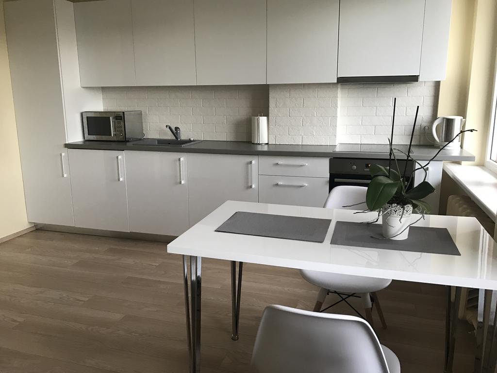 Gina'S Apartment Partizanu G 考纳斯 外观 照片