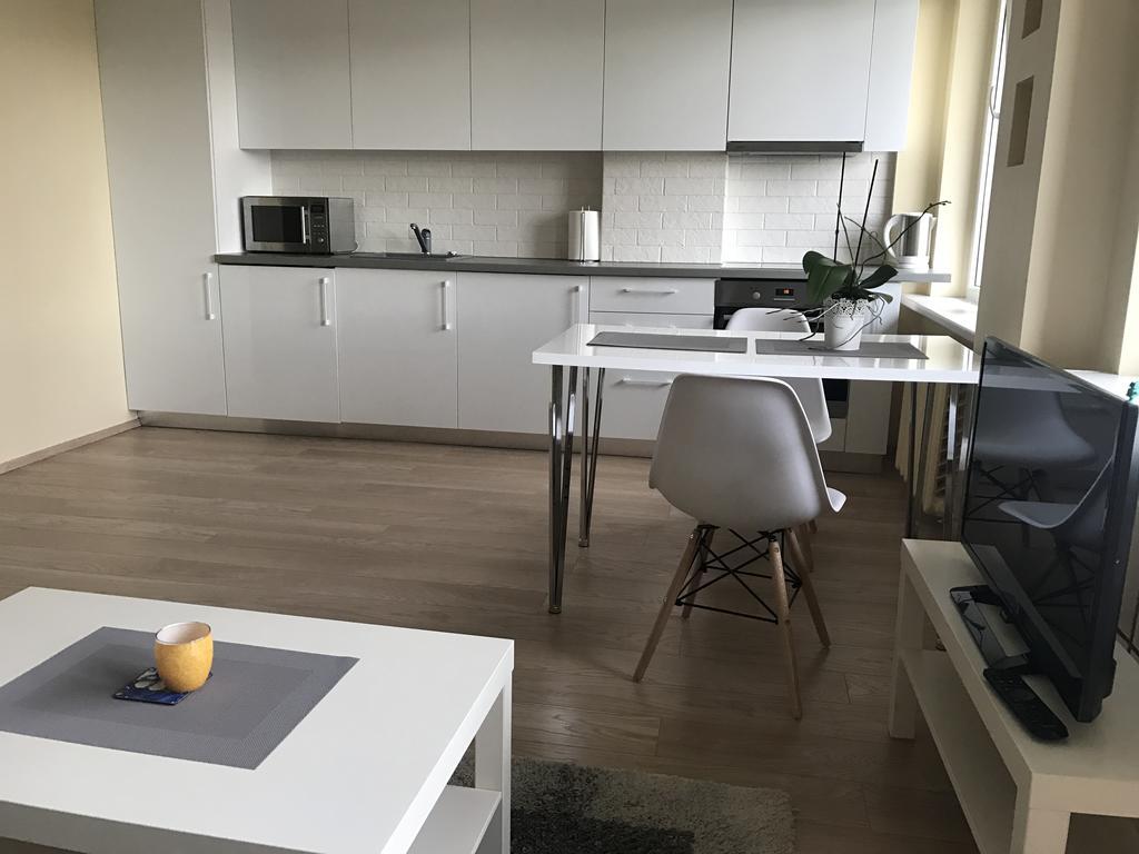 Gina'S Apartment Partizanu G 考纳斯 外观 照片
