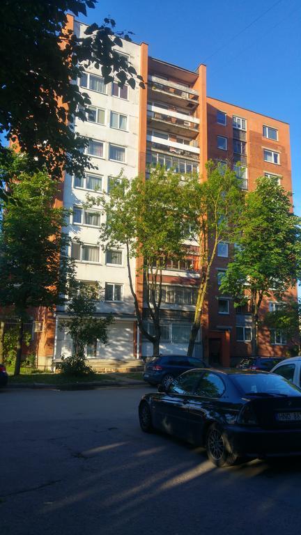 Gina'S Apartment Partizanu G 考纳斯 外观 照片