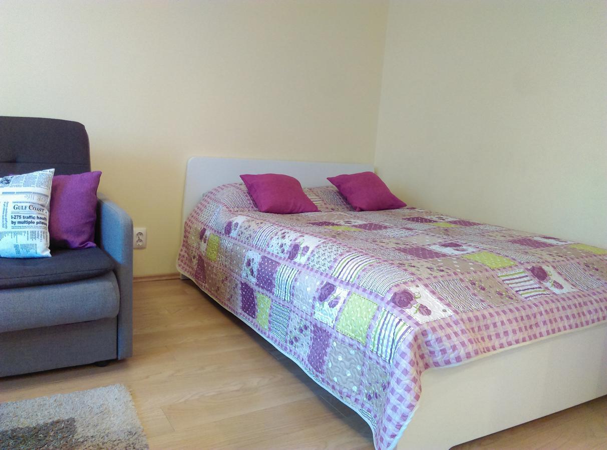 Gina'S Apartment Partizanu G 考纳斯 外观 照片